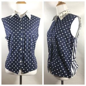 Blue and White, Polkadot, Striped, Button Down Tan